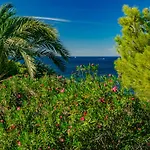 Verena By Interhome Denia