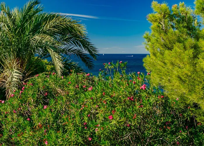 Verena By Interhome Denia